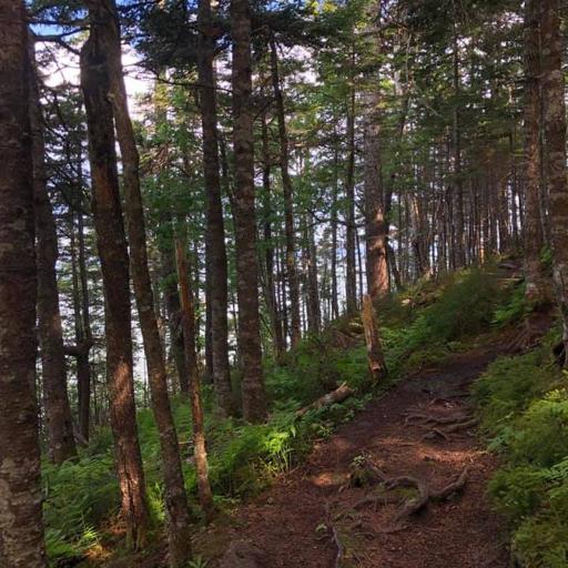 user profile icon inside a circle